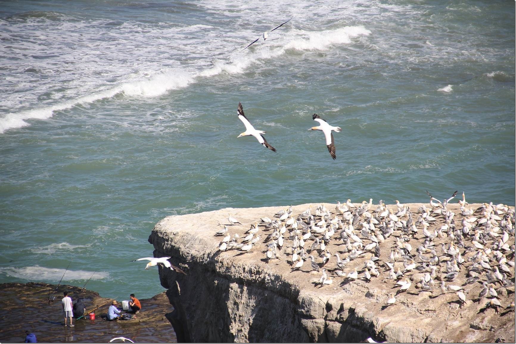 clip_image018